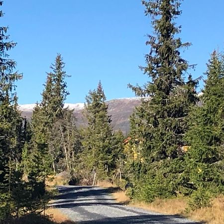 Sykkelhytte Ved Slatten I Synnfjellet Nord Torpa Екстериор снимка