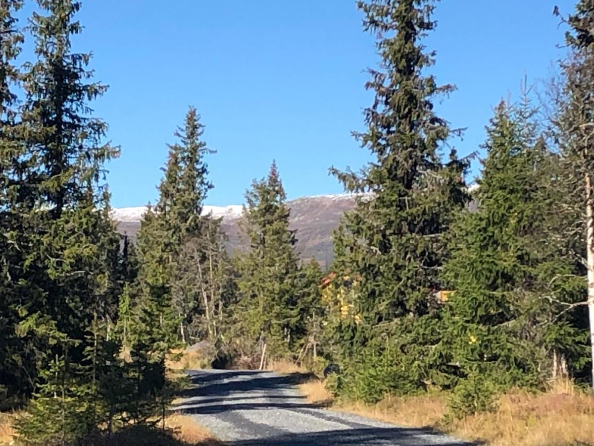 Sykkelhytte Ved Slatten I Synnfjellet Nord Torpa Екстериор снимка